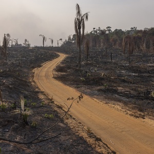 Área queimada no Brasil em 2024 supera média histórica em 62%