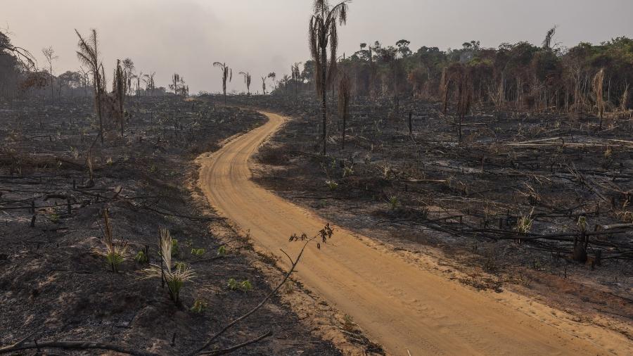 Área queimada às margens do ramal do Rancho, na região de planalto entre Santarém e Uruará, no Pará Área queimada às margens do ramal do Rancho, na região de planalto entre Santarém e Uruará, no Pará