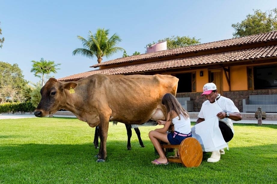 HOTEL FAZENDA COLIBRI, EM AMARGOSA (BA). - Divulgação
