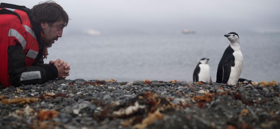 O ator Javier Bardem em visita à Antártida - Christian Aslund/AFP Photo/Greenpeace