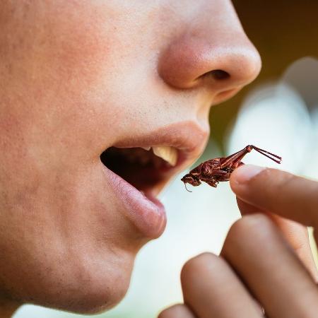 50% dos brasileiros não comeriam insetos 