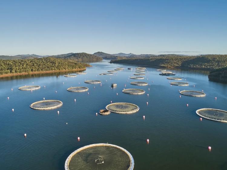 Lago Mantasoa, em Madagascar, onde o primeiro caviar africano é produzido Lago Mantasoa, em Madagascar, onde o primeiro caviar africano é produzido
