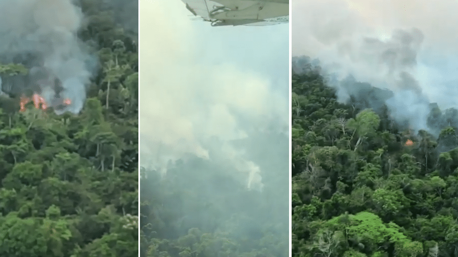 Bruno Gagliasso mostra destruição da Amazônia - Reprodução/Instagram