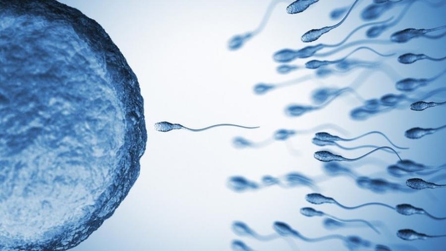 Coleta em homens mortos seria possível solução para falta de doadores de esperma - Getty