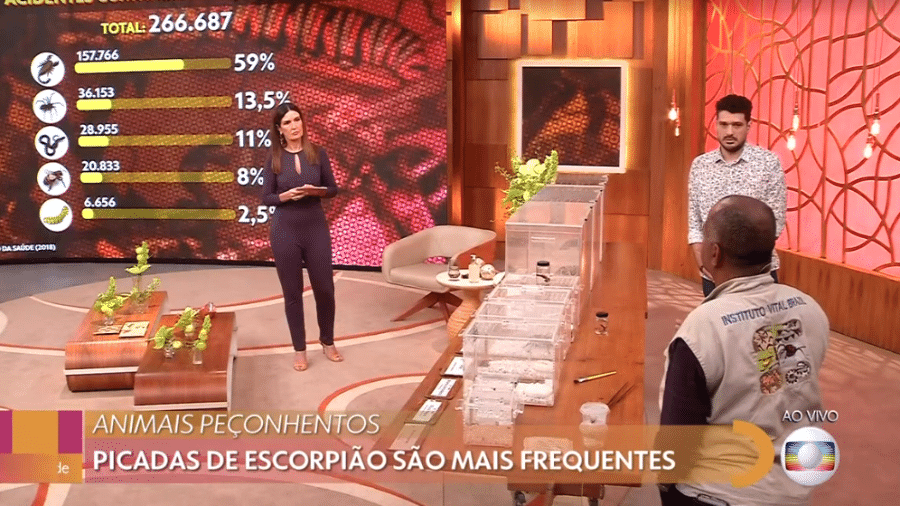 "Encontro com Fátima Bernardes" com animais peçonhentos no estúdio - Reprodução / TV Globo