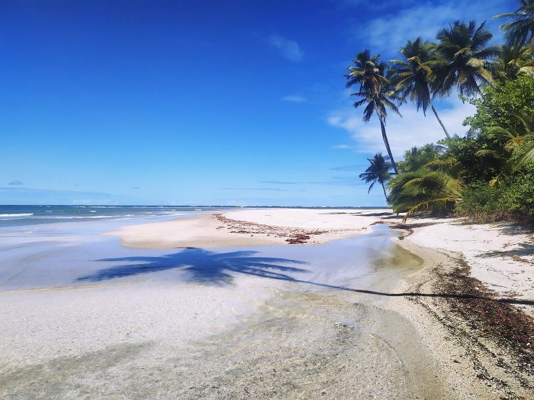 Praia de Boipeba, na Bahia - Getty Images/iStockphoto - Getty Images/iStockphoto