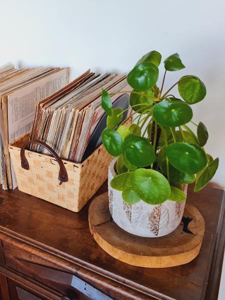 Mais Pileas de Marina Tadeu - Arquivo pessoal - Arquivo pessoal