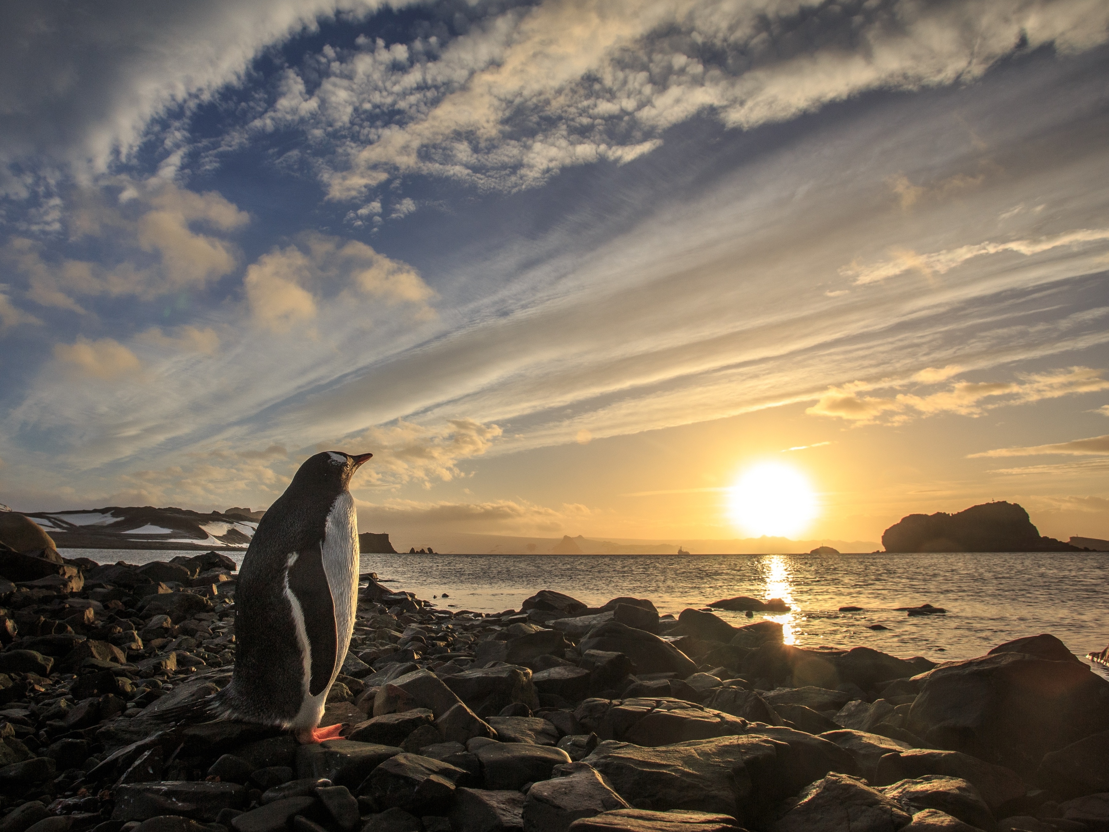 Fotógrafo conta como é viver o tempo todo sob a luz do dia na Antártida