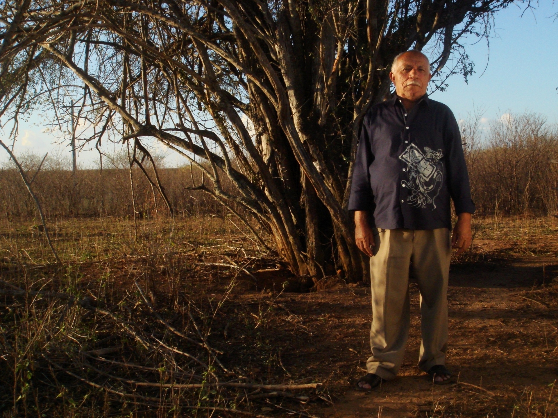 20º Cine PE divulga lista de longas em competição - Divulgação