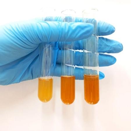 Em uma das amostras, foram encontradas a Sildenafila e Tadalafila de forma combinada, o que pode aumentar os riscos à saúde - Unicamp - Unicamp 