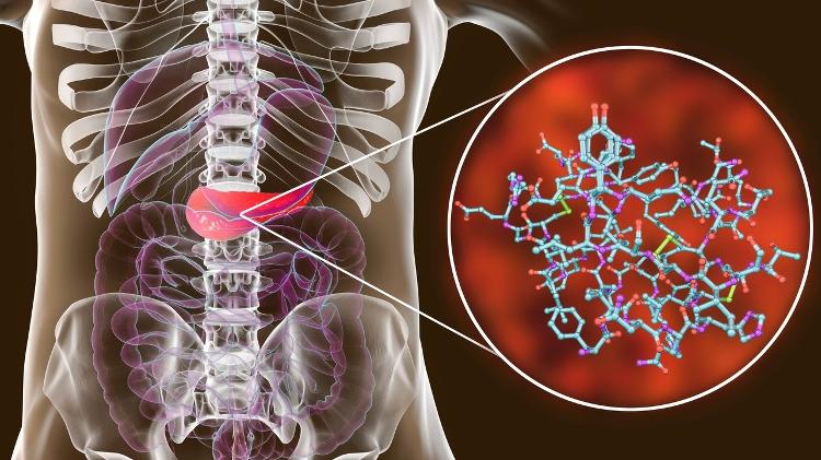 Pâncreas é o órgão que produz insulina - Foto: Istock