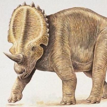 Centrosaurus - GETTY IMAGES