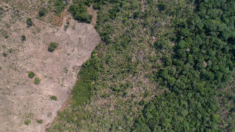 Área desmatada da floresta amazônica brasileira no município de Humaitá, estado do Amazonas