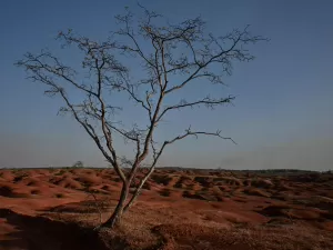 Por que terras férteis estão se tornando desertos