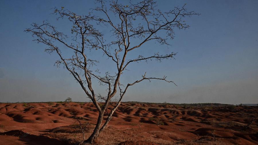 A região de Gilbués, no sul do Piauí, é uma das quatro zonas críticas em processo de desertificação no Brasil