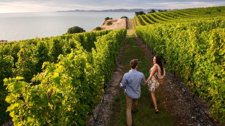 Vinícolas de Marlborough, na Nova Zelândia - Mike Heydon/Tourism New Zealand - Mike Heydon/Tourism New Zealand