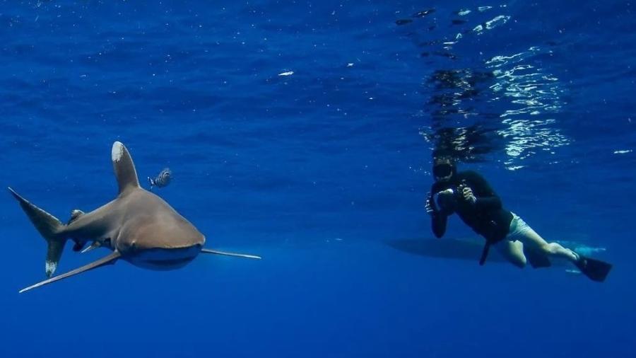 Equipe de filmagem mostra imagens da gravação no mar de ilha no Havaí  - Reprodução/Instagram