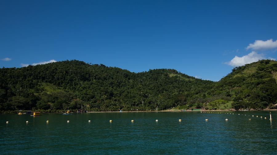 Boias tentam evitar que qualquer embarcação aporte nas ditas "praias privadas" da região de Paraty (RJ)