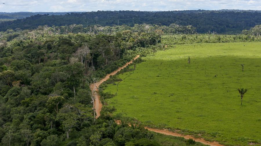 Área de pastagem devastada na floresta amazônica, na região da bacia do Tapajós (PA)