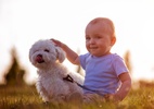 Chegada do bebê muda o mundo do cachorro e ele pode sofrer c