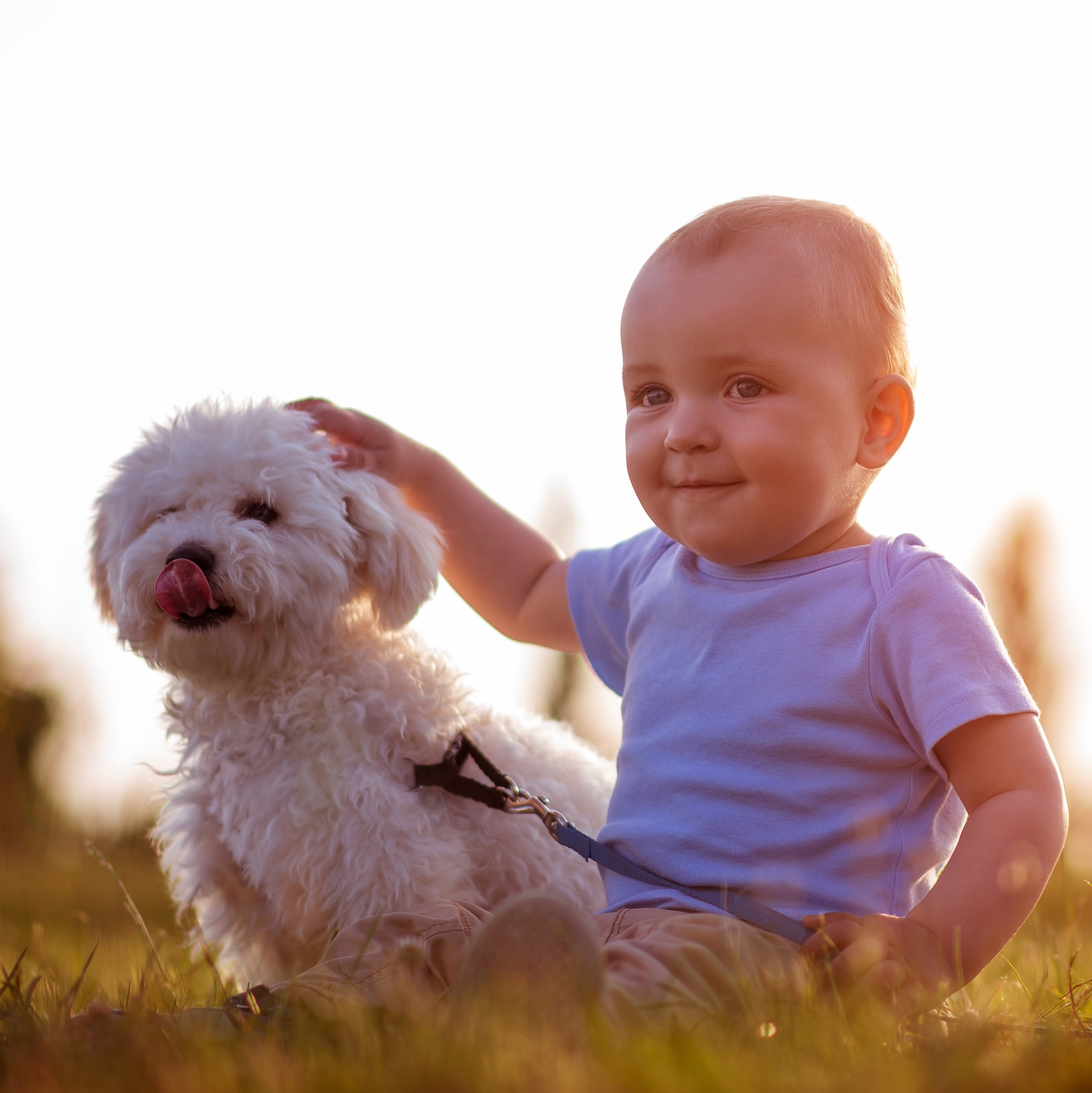 Como dois cachorros e doze crianças ficaram sem se molhar estando