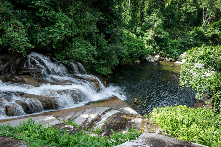 Mongabay: Rio em Parati (RJ), em área de Mata Atlântica - Deni Williams - Deni Williams