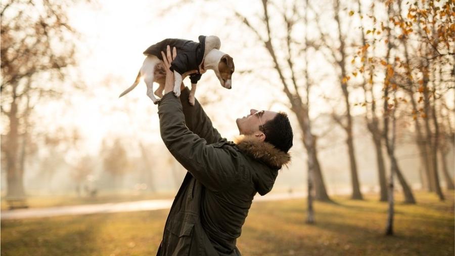 Terriers em geral têm uma vida mais longa - Getty Images