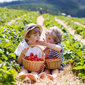 Crianças que comemoram orgânicos tinham menos pesticidas no organismo - Getty Images