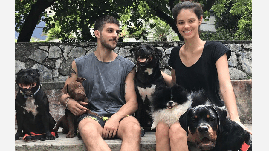 Chay Suede e Laura Neiva posam com cachorros da família - Reprodução/Instagram