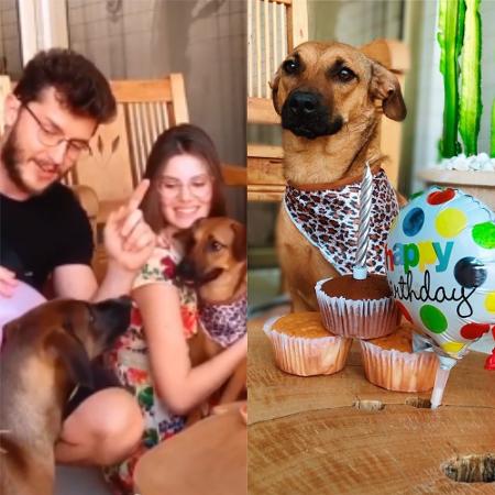 Camila Queiroz e Klebber Toledo fazem festa para pet - Reprodução / Instagram