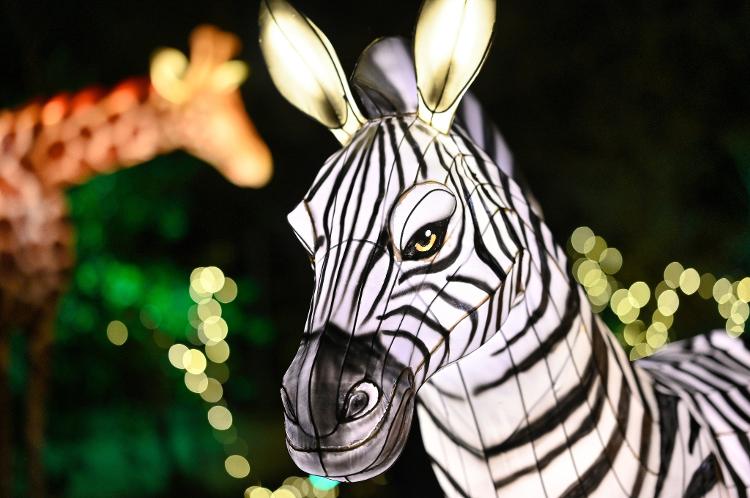 Escultura iluminada do Holiday Lights in Snow, no Bronx Zoo