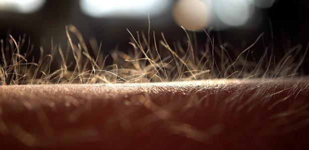 Sente arrepios quando escuta música? Seu cérebro pode ser 'especial'