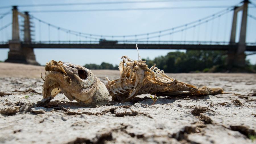 Leito de rio seco na França Leito de rio seco na França