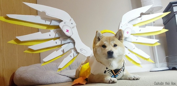 A cachorrinha Vox posa para fotos de cosplay - as asas de Mercy levaram 22 horas para ficarem prontas - Reprodução/Outside the Vox
