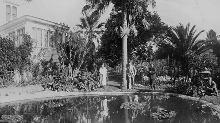 Nagasawa fez com que sua fazenda Fountaingrove se tornasse uma das maiores vinícolas da Califórnia - Museu do Condado de Sonoma - Museu do Condado de Sonoma