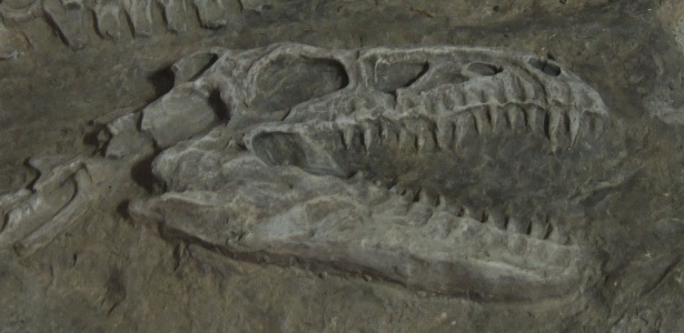 Pavilhão da Terra mostra curiosidades sobre o planeta, como a presença de dinossauros - Divulgação/Parque da Ciência - Divulgação/Parque da Ciência