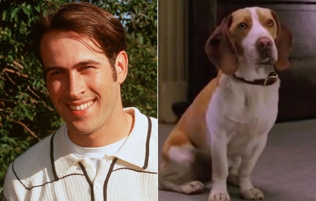 Jason Lee dublou o cão protagonista da comédia "Vira-Lata" (2007) - Reprodução