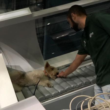 Adestrador dá petiscos ao cachorro Pirata no set da novela "O Tempo não Para" - Arquivo pessoal - Arquivo pessoal