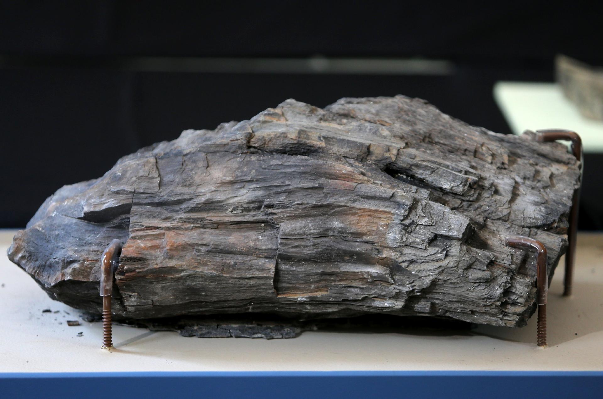 Museu Nacional apresenta exposição sobre Antártida, a primeira após incêndio - Wilton Junior/Estadão Conteúdo