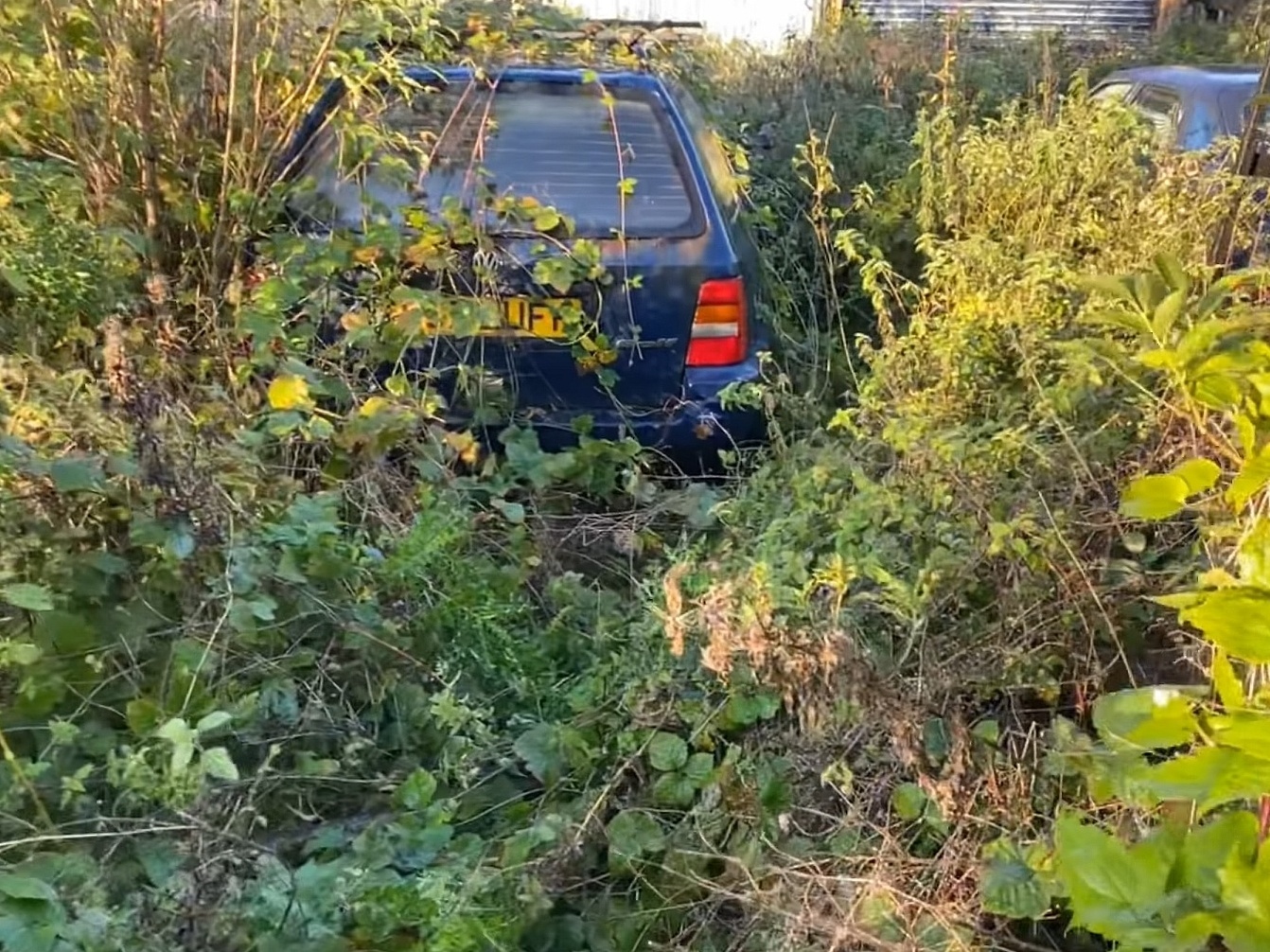 Carro raro mantido em garagem por mais de 30 anos vai a leilão na  Inglaterra - BBC News Brasil