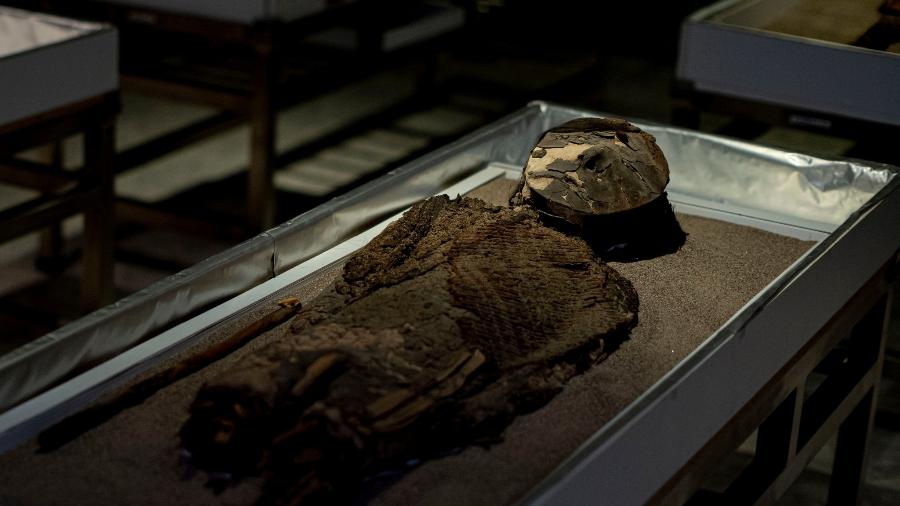 Múmias do povo Chinchorro - Reprodução/Facebook Museo Universidad de Tarapacá - San Miguel de Azapa