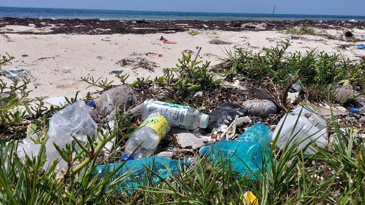 Limpeza de lixo plástico em praia das Bahamas Limpeza de lixo plástico em praia das Bahamas