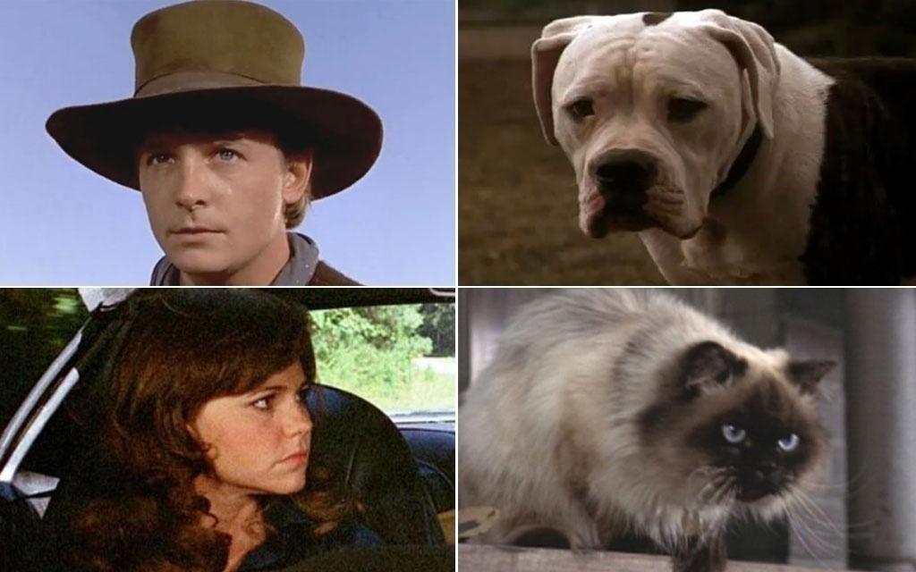 Michael J. Fox e Sally Field dublaram vozes de animais em "A Incrível Jornada" (1992) - Reprodução