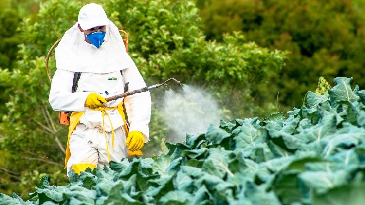 Trabalhador espalha agrotóxico em plantação Trabalhador espalha agrotóxico em plantação