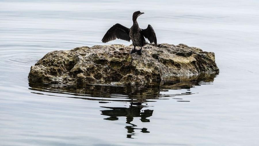 O Lago Ohrid se formou entre quatro e 10 milhões de anos atrás, sendo um dos lagos mais antigos do mundo - Getty Images