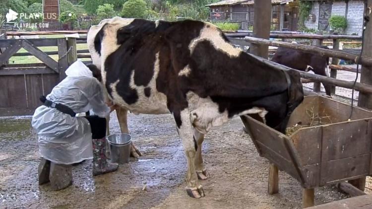 A Fazenda 2021: Liziane Gutierrez conversa com vaca - Reprodução/PlayPlus - Reprodução/PlayPlus