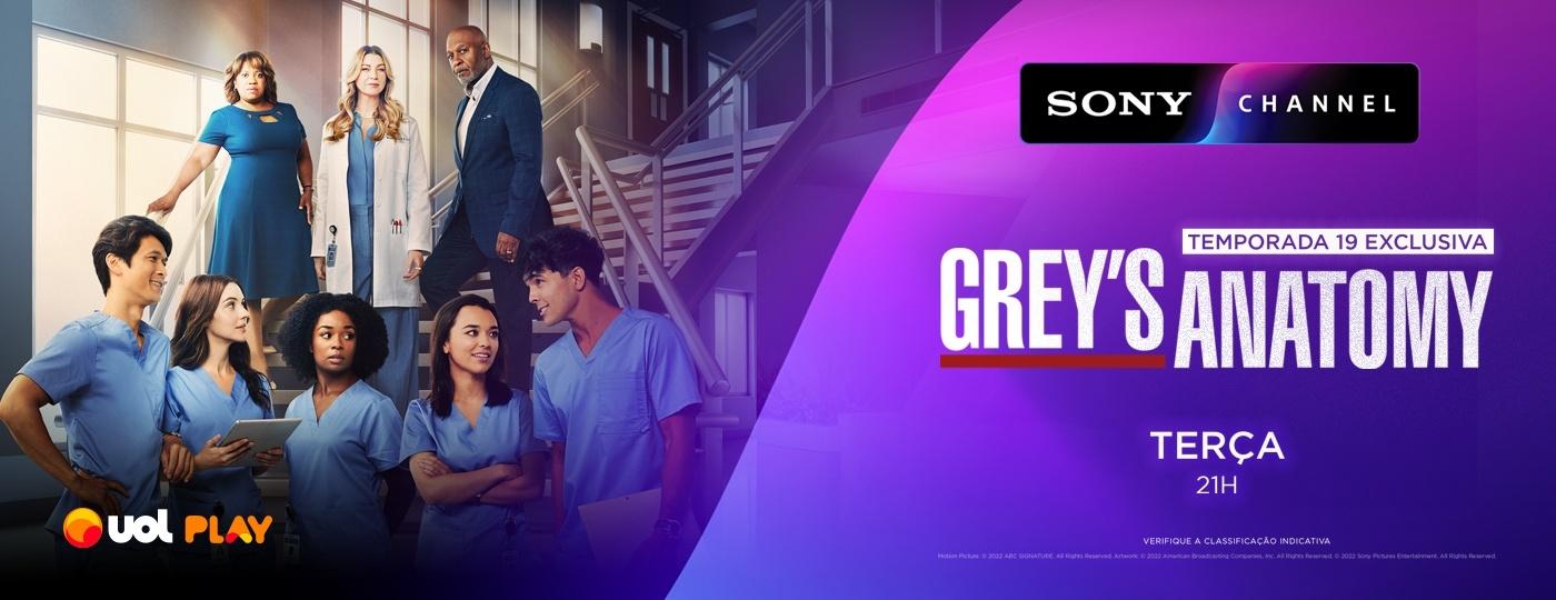 Grey'S Anatomy - Oitava Temporada Completa em Promoção na Americanas