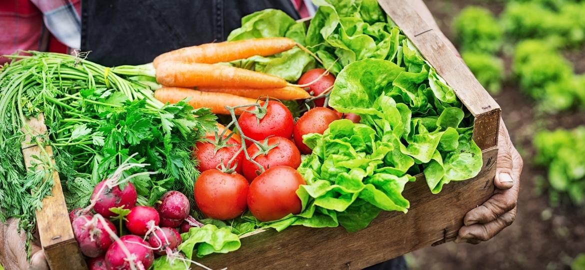 Cesta de alimentos orgânicos - Getty Images