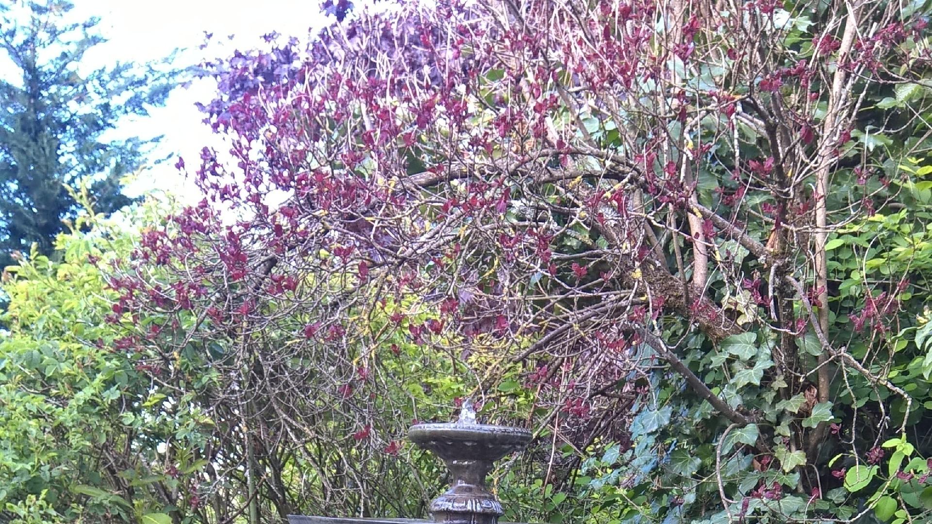 jardim do hotel Relais Bernard Loiseau - Arquivo Pessoal