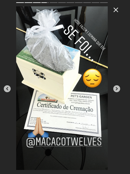 Latino mostra cinzas e certificado de cremação de Twelves - Reprodução/Instagram
